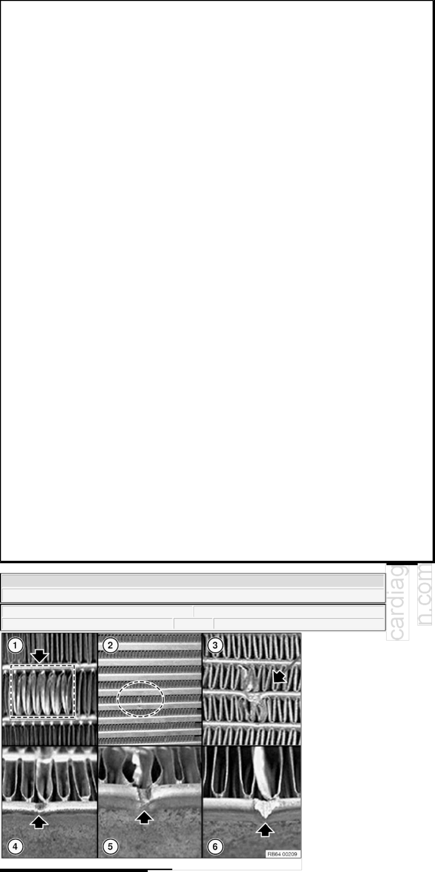 Sample 2 of BMW Instrucciones del sistema de refrig Technical Manual [PDF]