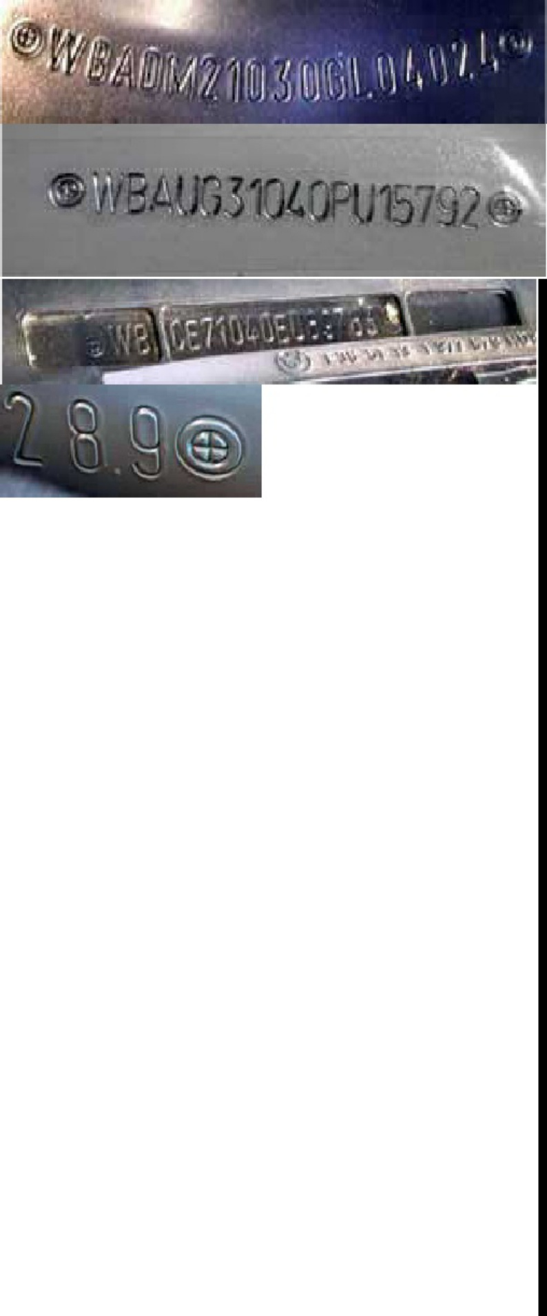 Sample 6 of BMW Vehicle Identification Guide Technical Manual [PDF]