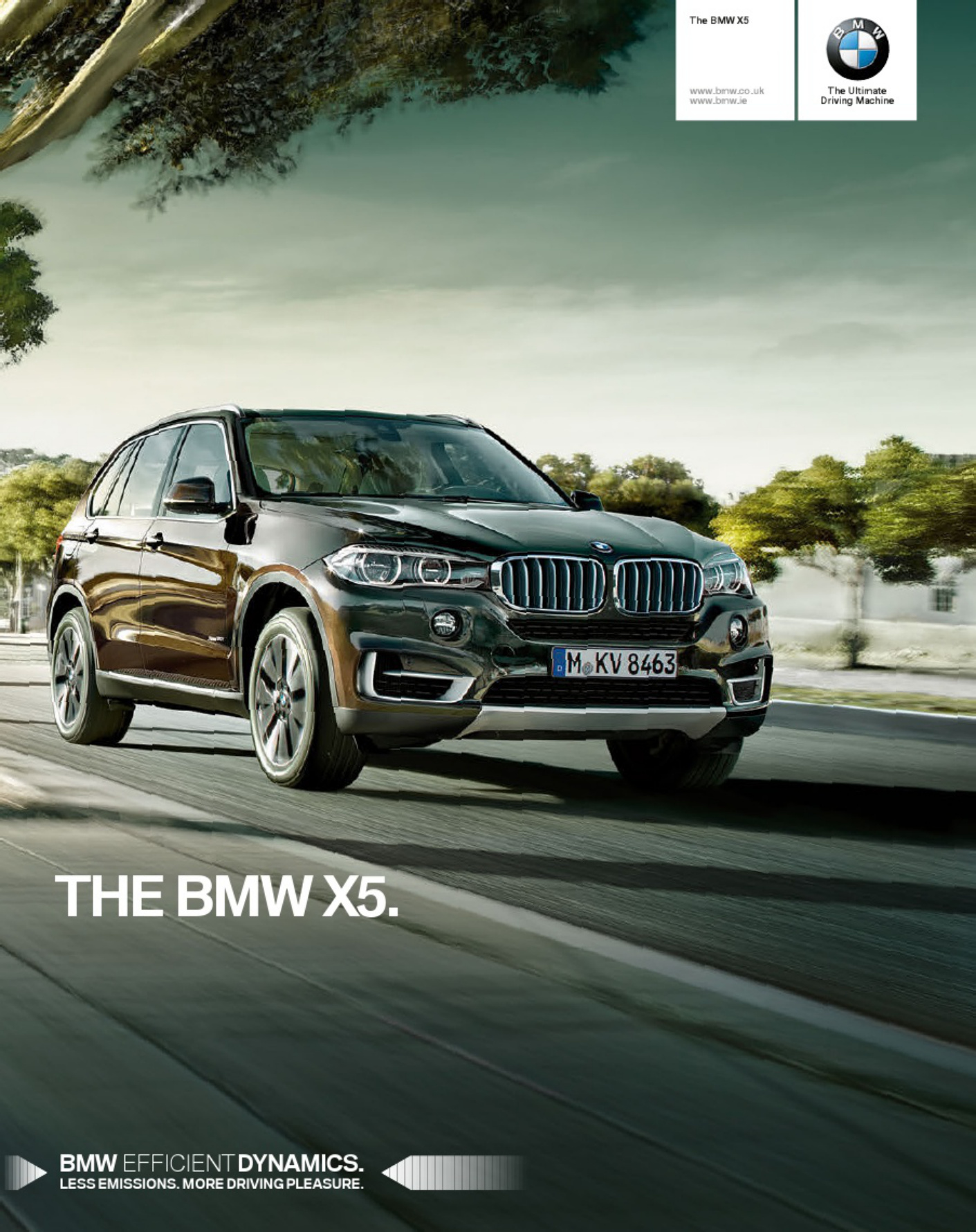 Sample 3 of BMW x5 Brochure Technical Manual [PDF]
