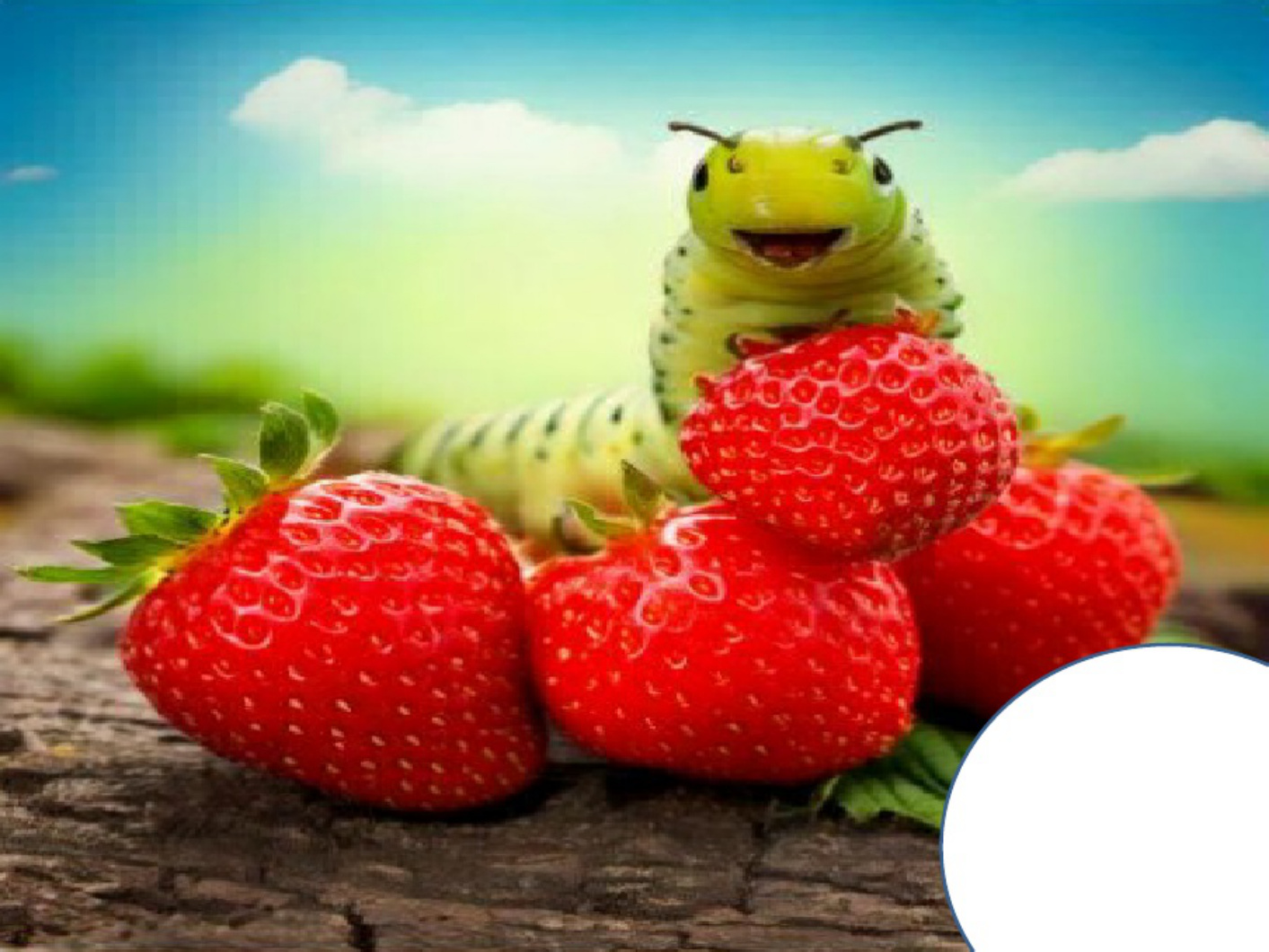 Caterpillar Caterpillar's Stomach Ache Story Technical Manual [PDF] cover