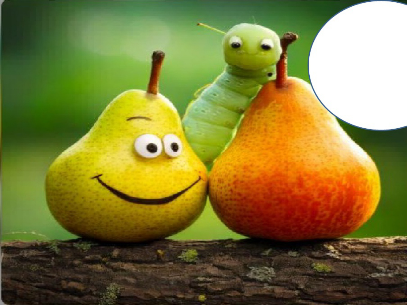 Sample 5 of Caterpillar Caterpillar's Stomach Ache Story Technical Manual [PDF]