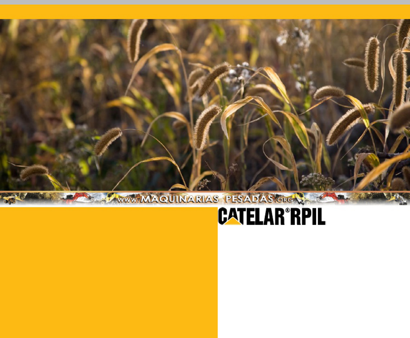 Sample 7 of Caterpillar Sostenibilidad Energética En Caterpillar Technical Manual [PDF]