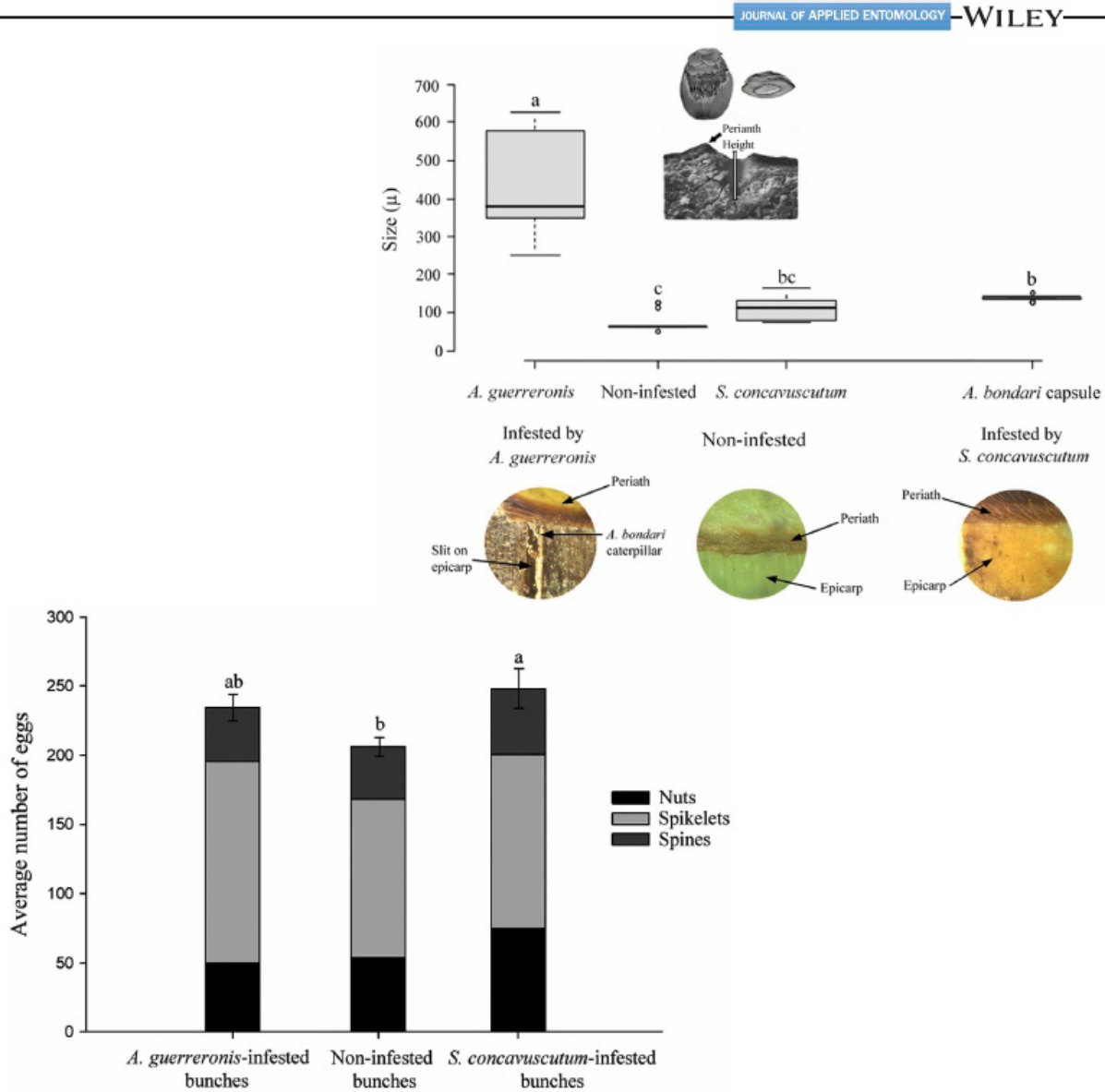 Sample 6 of Caterpillar Mite Damage Enhances Caterpillar Infestation Technical Manual [PDF]