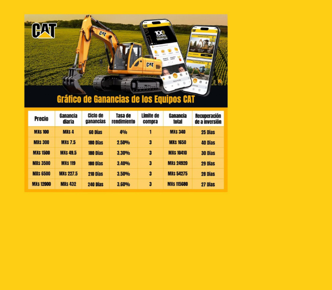 Sample 7 of Caterpillar Plan De Negocios De Caterpillar México Technical Manual [PDF]