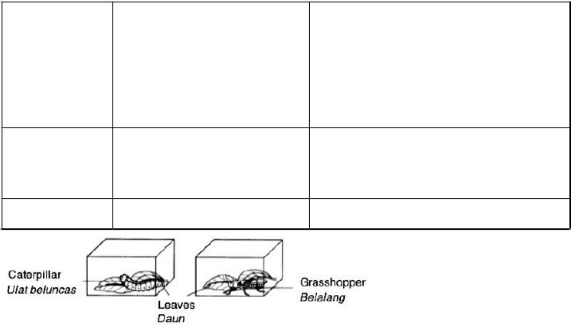 Caterpillar Vs Grasshopper Experiment Analysis Technical Manual [PDF] cover