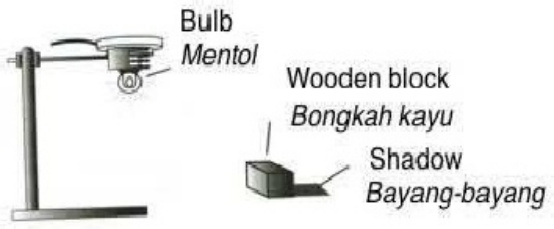 Sample 3 of Caterpillar Vs Grasshopper Experiment Analysis Technical Manual [PDF]