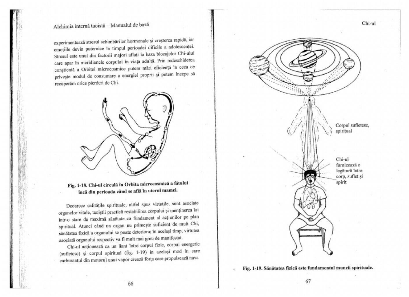 PDF page 34 of Caterpillar CAT Alchimia Interna Taoista Technical Manual [PDF]