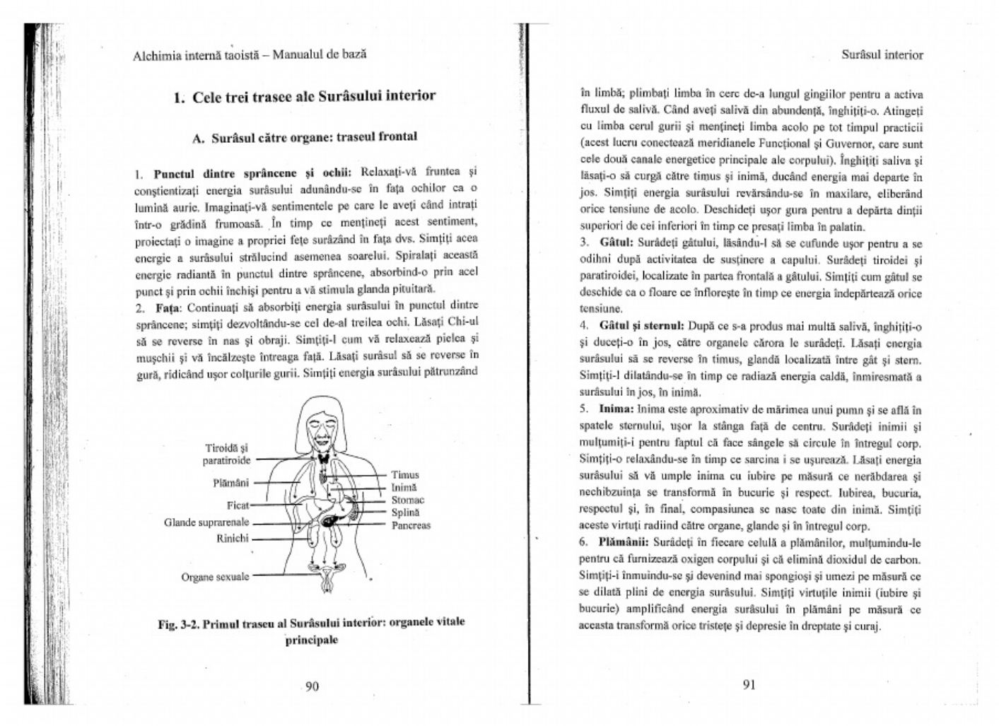 PDF page 46 of Caterpillar CAT Alchimia Interna Taoista Technical Manual [PDF]