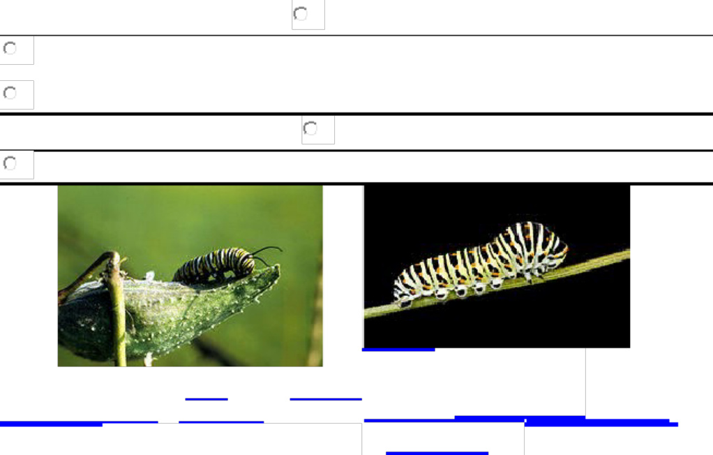 Sample 3 of Technical Document Caracteri sticas y defensas de Technical Manual [PDF]