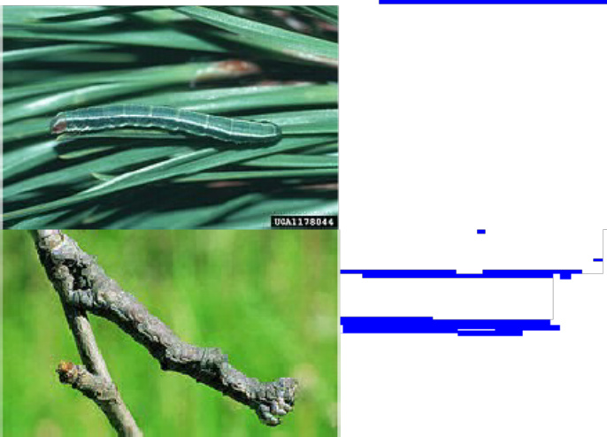 Sample 5 of Technical Document Caracteri sticas y defensas de Technical Manual [PDF]