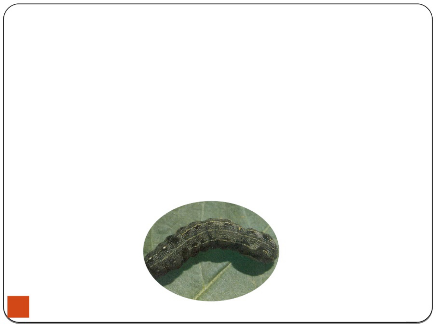 Sample 5 of Technical Document Integrated Pest Management in Technical Manual [PDF]
