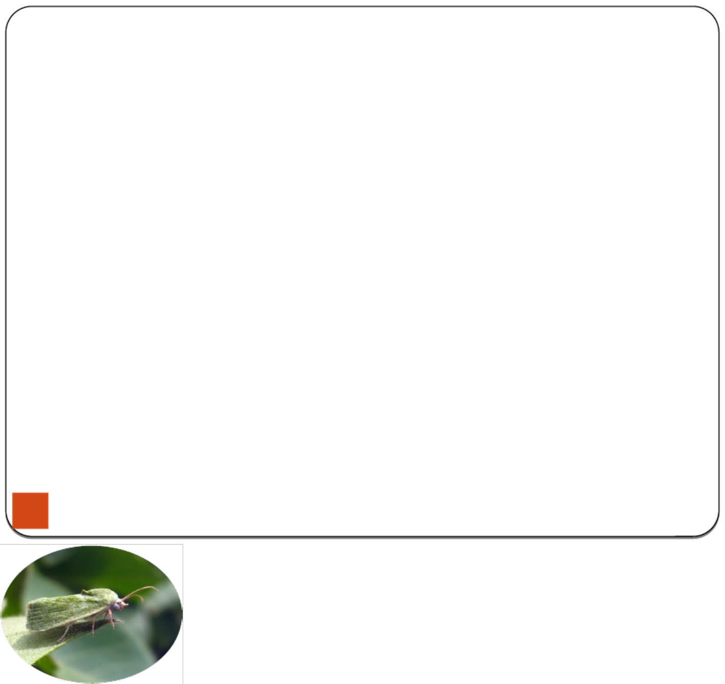 Sample 6 of Technical Document Integrated Pest Management in Technical Manual [PDF]