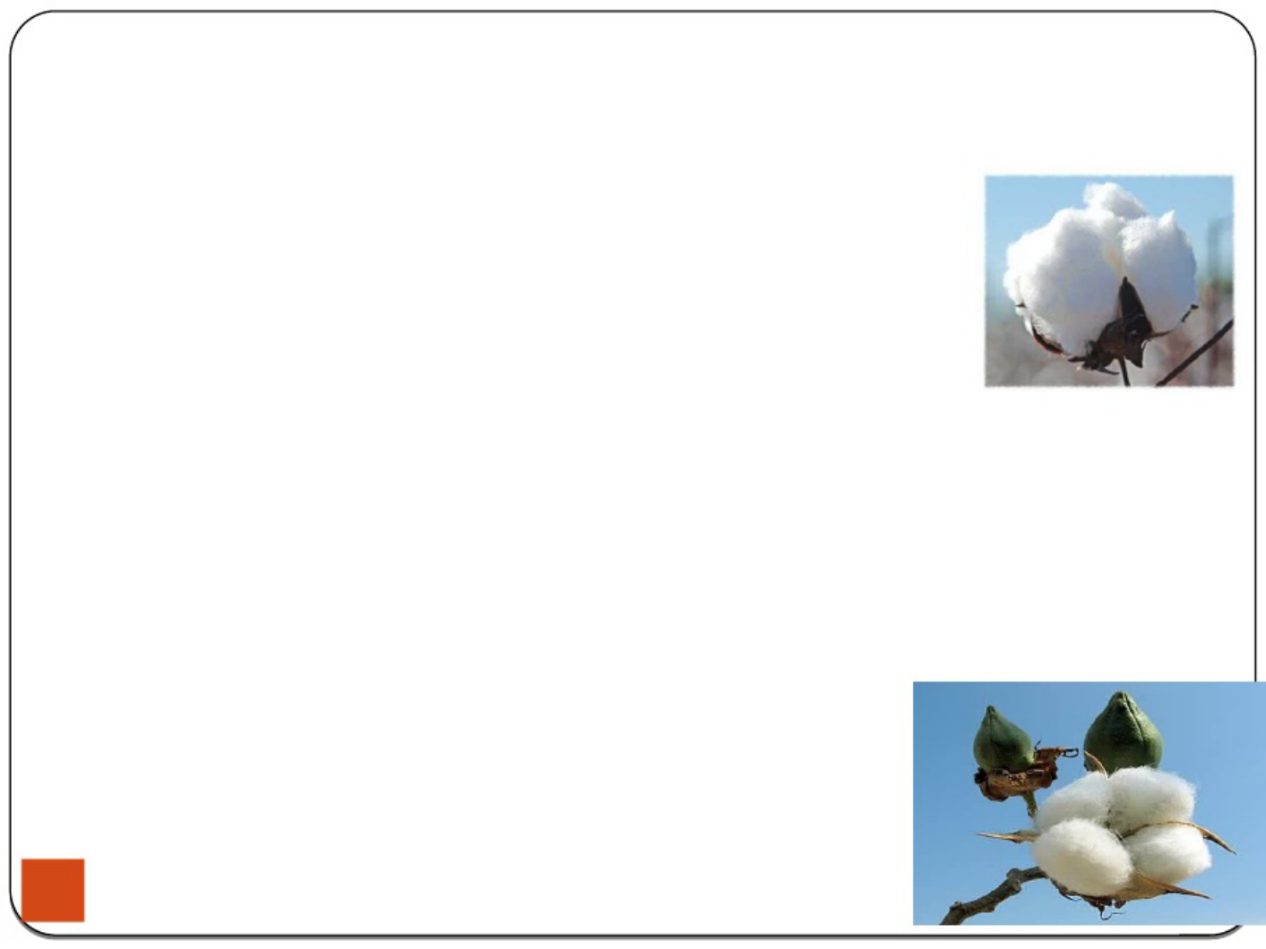 Sample 7 of Technical Document Integrated Pest Management in Technical Manual [PDF]