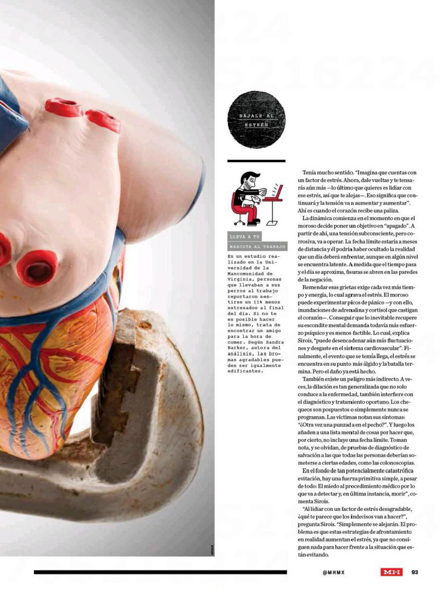 Sample 7 of Technical Document menx27s-health-mexico-menx27s-healt Technical Manual [PDF]