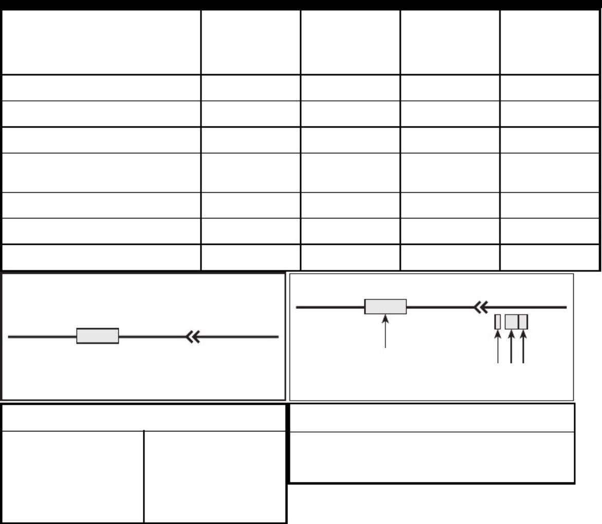 Sample 3 of Technical Document Snowmobile Wiring Diagrams Overview Complete Electrical Wiring Schematic & System Diagram [PDF]